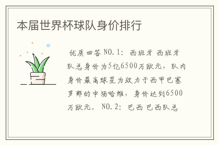 本届世界杯球队身价排行
