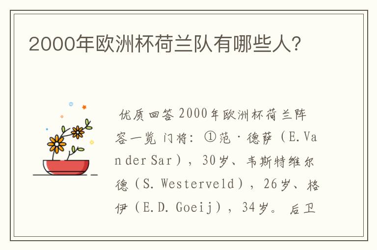 2000年欧洲杯荷兰队有哪些人?
