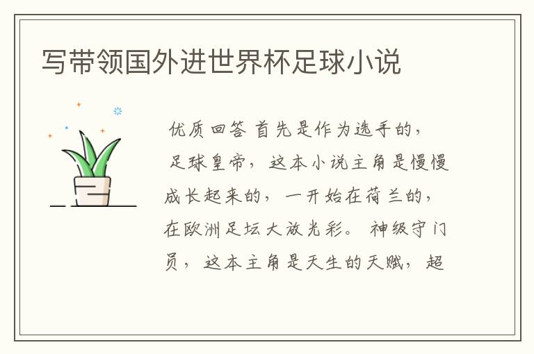 写带领国外进世界杯足球小说