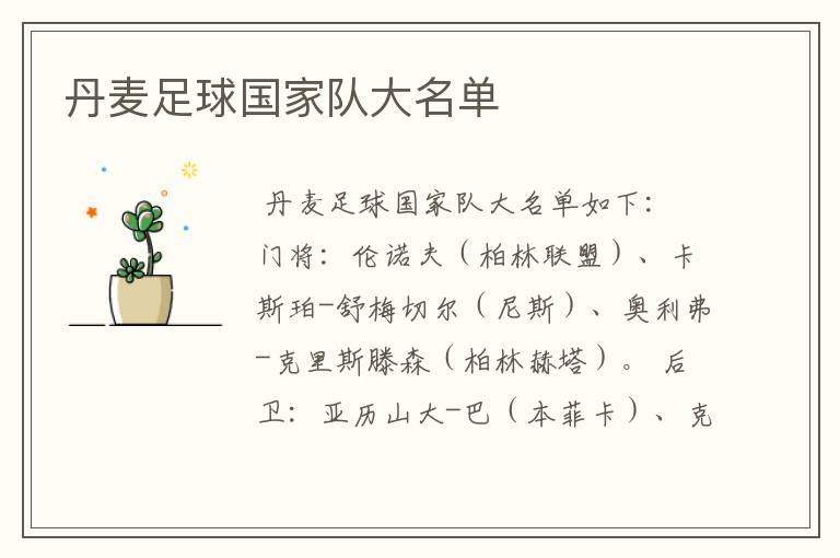 丹麦足球国家队大名单