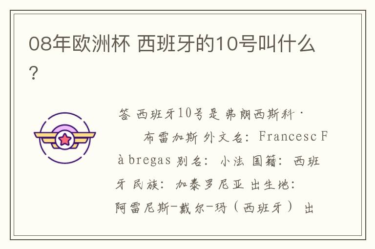 08年欧洲杯 西班牙的10号叫什么?