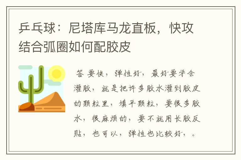 乒乓球:尼塔库马龙直板,快攻结合弧圈如何配胶皮