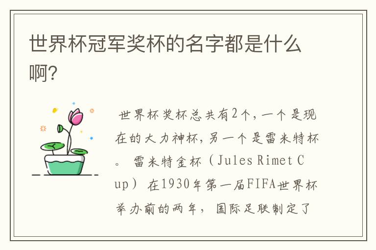 世界杯冠军奖杯的名字都是什么啊?
