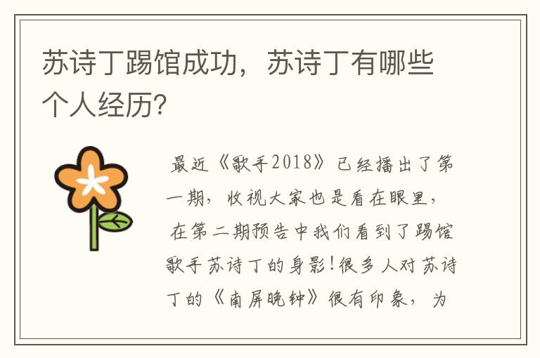 苏诗丁踢馆成功,苏诗丁有哪些个人经历?