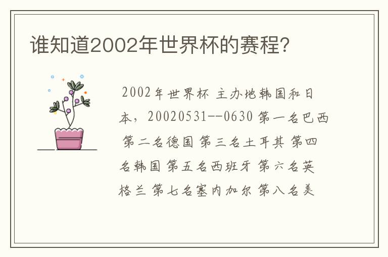 谁知道2002年世界杯的赛程？