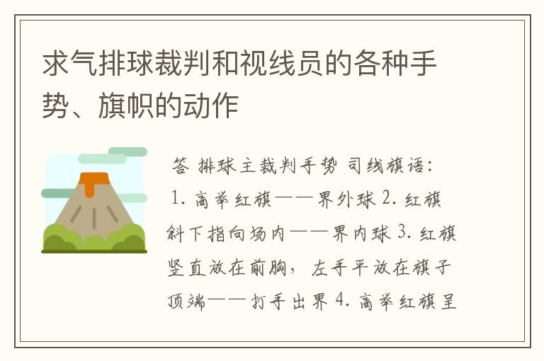 求气排球裁判和视线员的各种手势、旗帜的动作