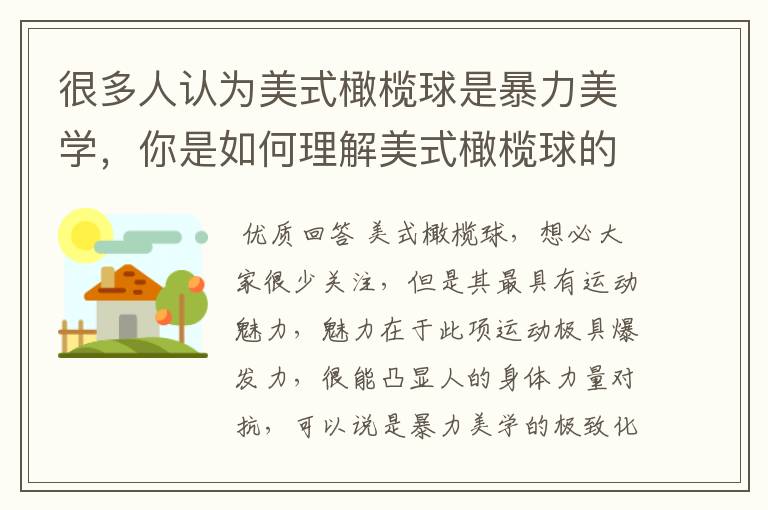 很多人认为美式橄榄球是暴力美学,你是如何理解美式橄榄球的魅力的?