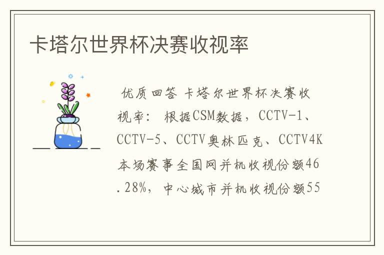 卡塔尔世界杯决赛收视率
