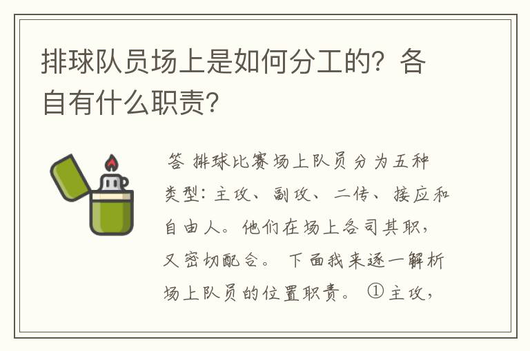 排球队员场上是如何分工的?各自有什么职责?