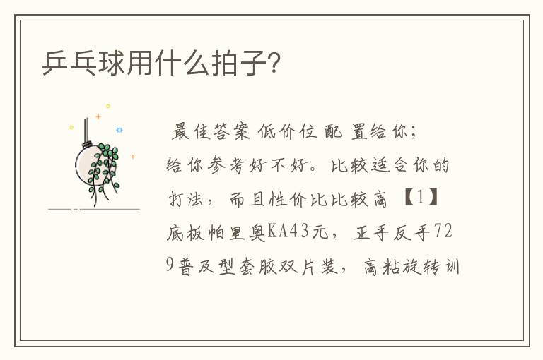 乒乓球用什么拍子?
