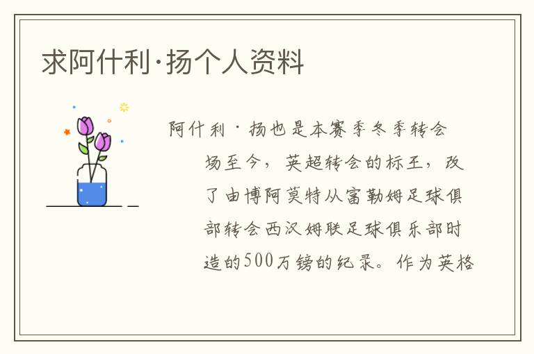 求阿什利·扬个人资料