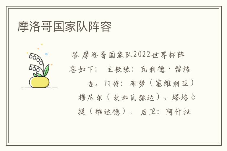 摩洛哥国家队阵容