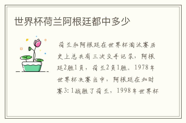 世界杯荷兰阿根廷都中多少