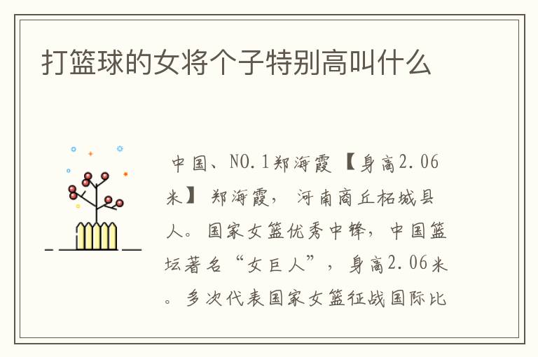 打篮球的女将个子特别高叫什么