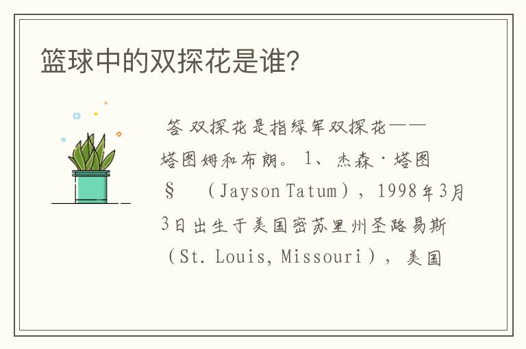 篮球中的双探花是谁?