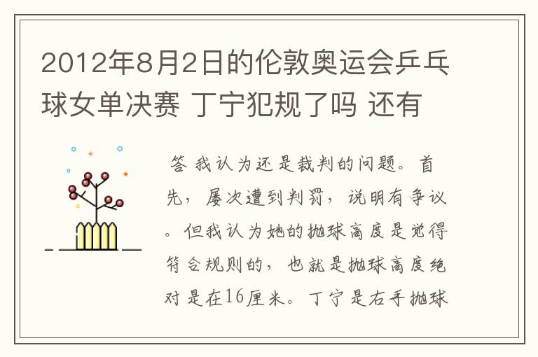 2012年8月2日的伦敦奥运会乒乓球女单决赛 丁宁犯规了吗 还有奥运会上的裁判胡乱判罚没有任何惩罚的吗?