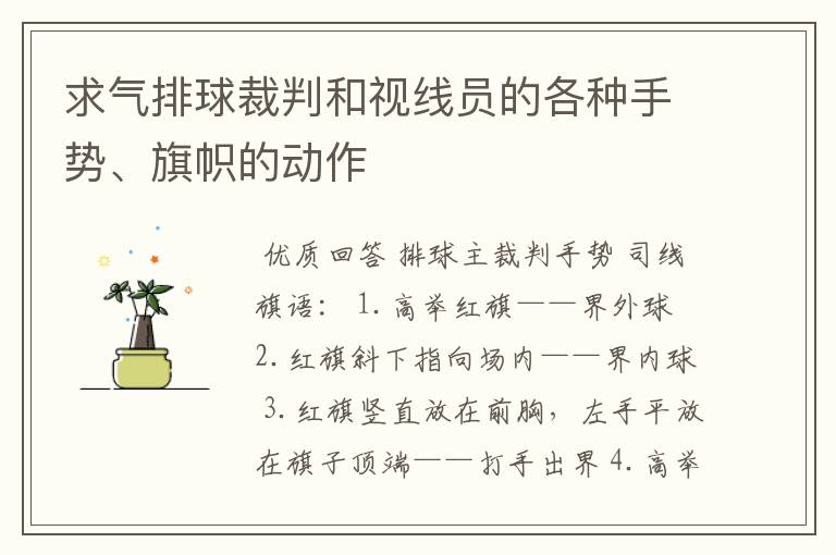 求气排球裁判和视线员的各种手势、旗帜的动作