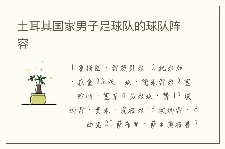 土耳其国家男子足球队的球队阵容