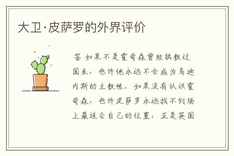 大卫·皮萨罗的外界评价