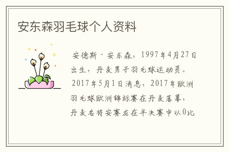 安东森羽毛球个人资料