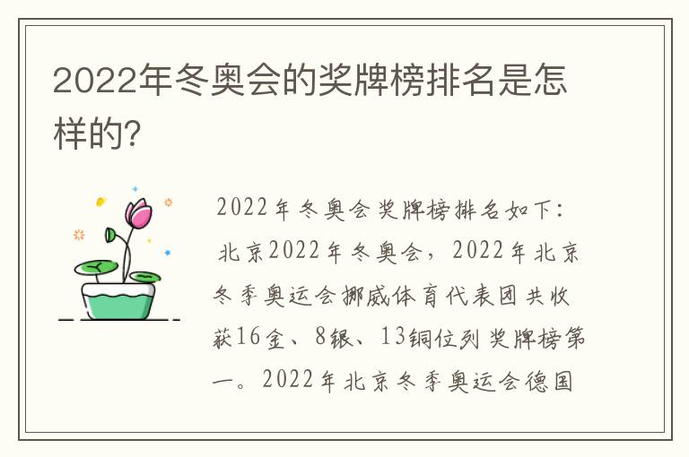 2022年冬奥会的奖牌榜排名是怎样的?