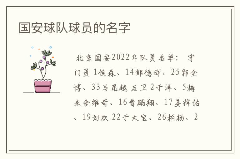 国安球队球员的名字