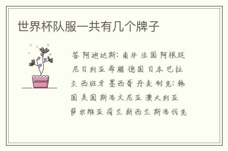 世界杯队服一共有几个牌子