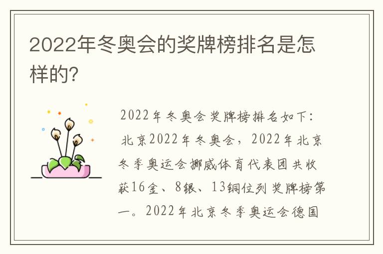 2022年冬奥会的奖牌榜排名是怎样的?