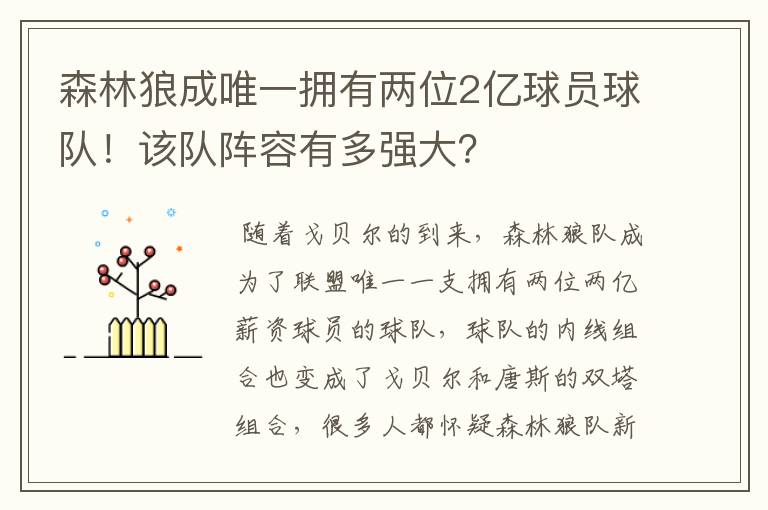 森林狼成唯一拥有两位2亿球员球队!该队阵容有多强大?