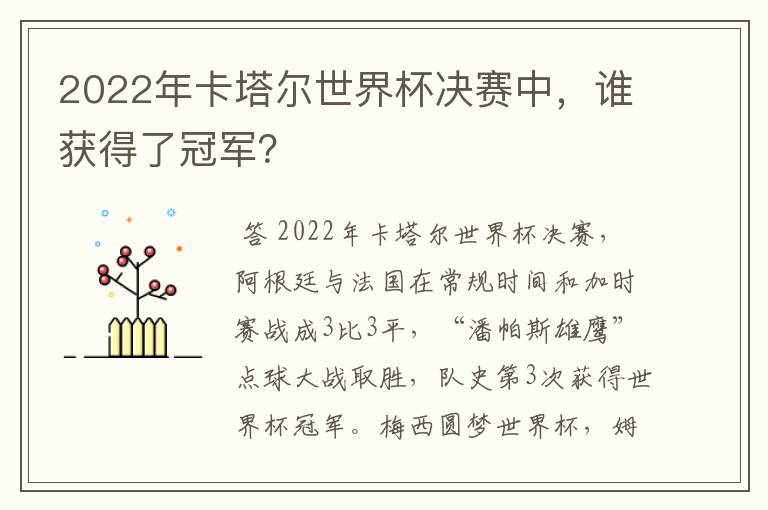 2022年卡塔尔世界杯决赛中,谁获得了冠军?