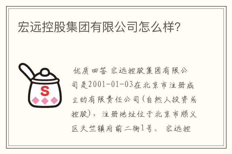 宏远控股集团有限公司怎么样？