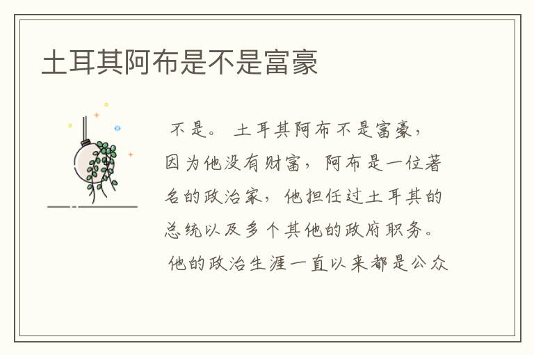 土耳其阿布是不是富豪