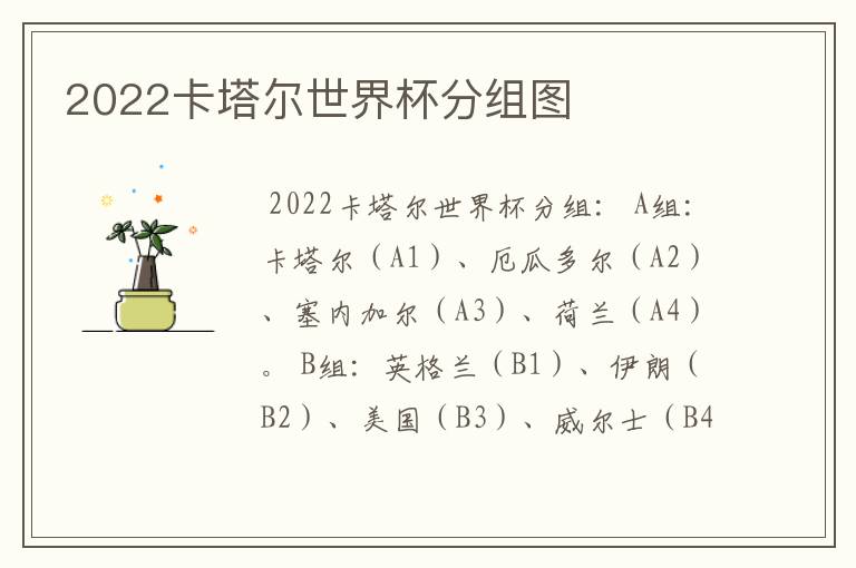 2022卡塔尔世界杯分组图