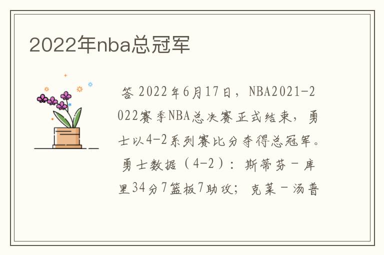2022年nba总冠军