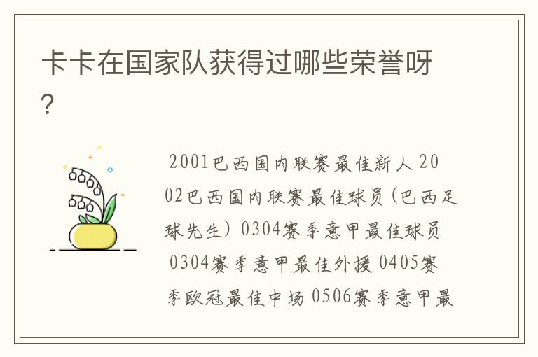 卡卡在国家队获得过哪些荣誉呀?