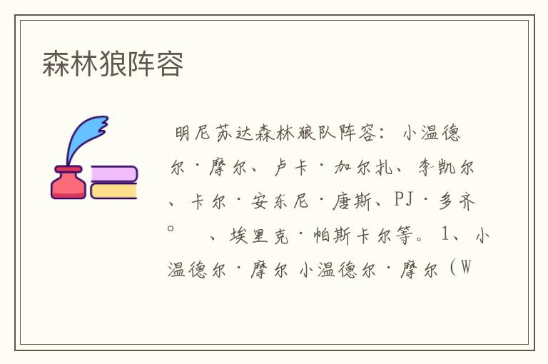 森林狼阵容