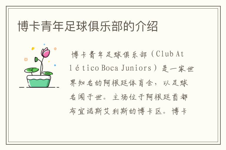 博卡青年足球俱乐部的介绍