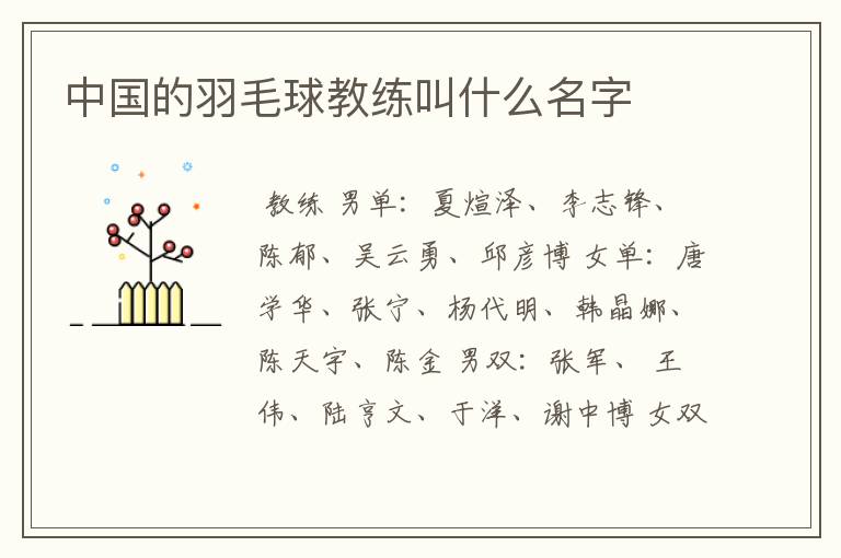 中国的羽毛球教练叫什么名字