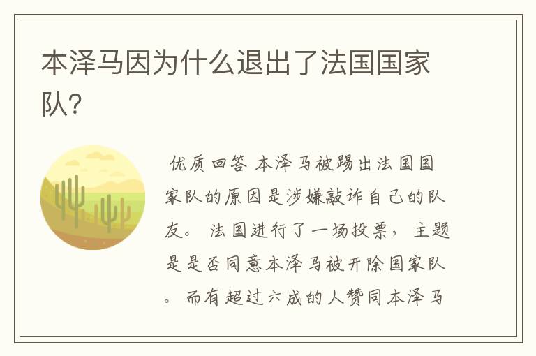 本泽马因为什么退出了法国国家队?