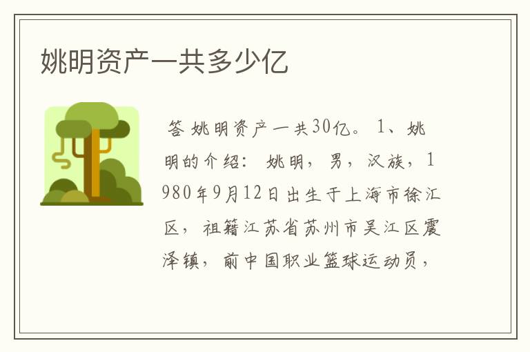 姚明资产一共多少亿