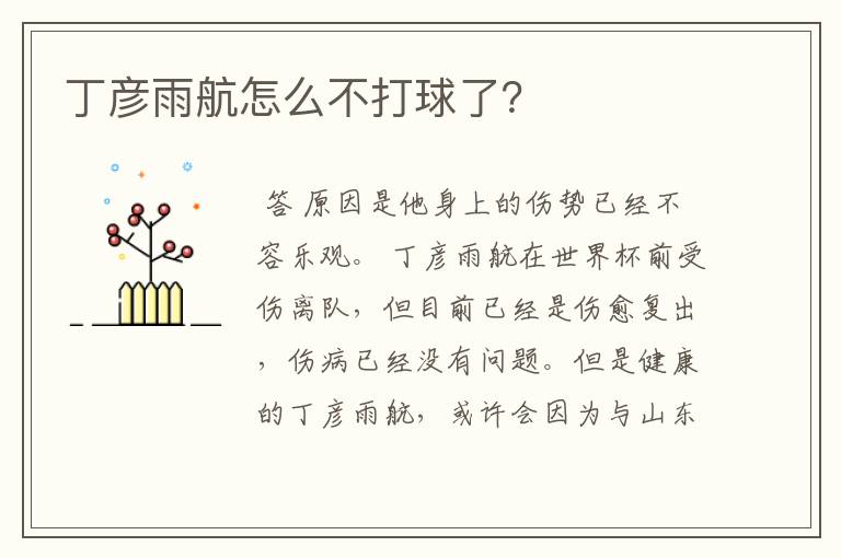 丁彦雨航怎么不打球了?