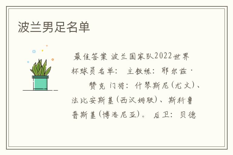 波兰男足名单