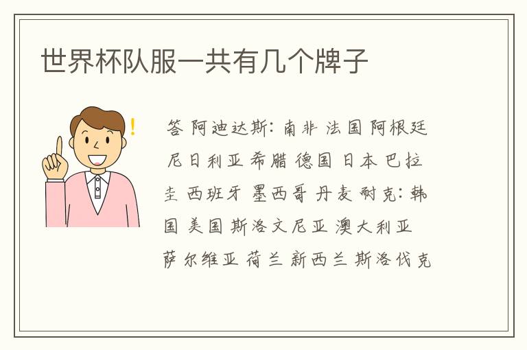 世界杯队服一共有几个牌子