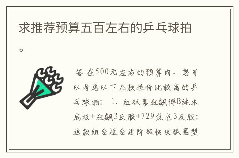 求推荐预算五百左右的乒乓球拍。