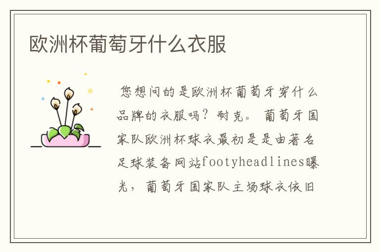 欧洲杯葡萄牙什么衣服
