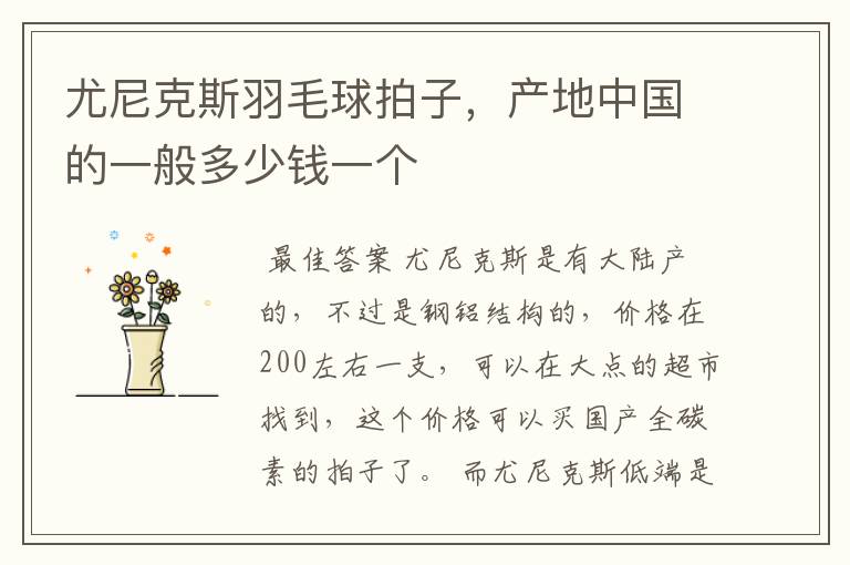 尤尼克斯羽毛球拍子,产地中国的一般多少钱一个