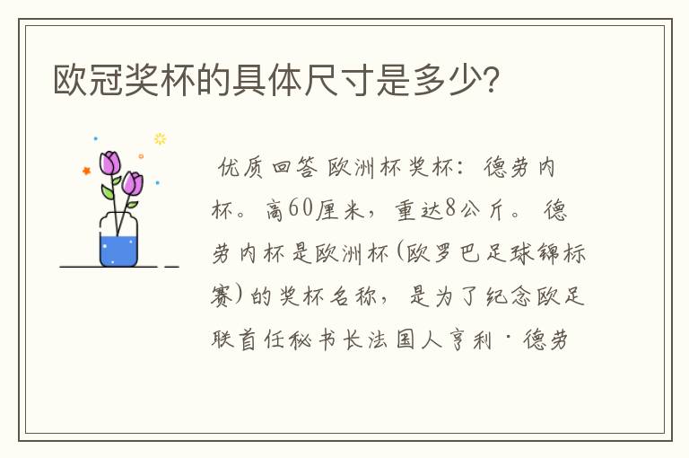 欧冠奖杯的具体尺寸是多少?