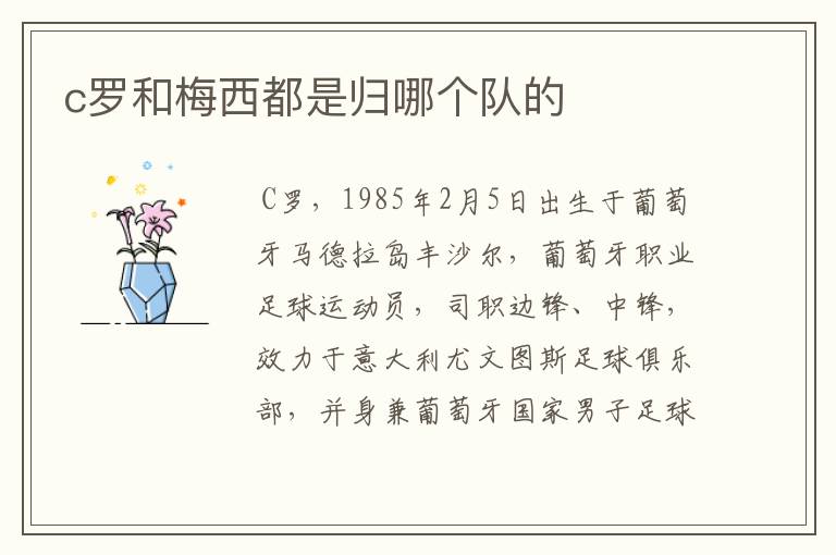 c罗和梅西都是归哪个队的