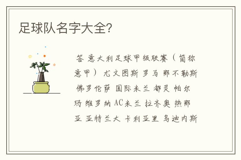足球队名字大全?
