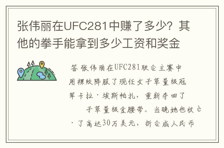 张伟丽在UFC281中赚了多少?其他的拳手能拿到多少工资和奖金?